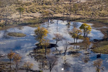 Okavangodelta aus der Vogelperspektive