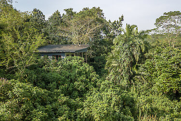 Cottage umgeben von Grün