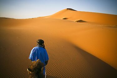 Tag 6: In die Sahara