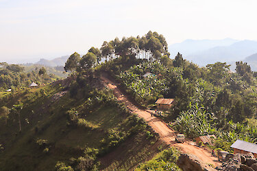 Straße im Hochland von Buhoma