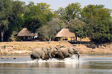 Elefanten vor dem Nsefu Camp