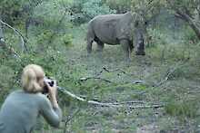 Ant´s Africa Safaris, Buschlandschaft, Fußpirsch, Fotograph, Nashorn im Hintergrund