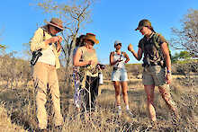 Ant´s Africa Safaris, Buschlandschaft, Fußpirsch, Rangerin mit interessierten Touristinnen