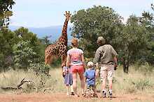 Ant´s Africa Safaris Fußpirsch, Familie mit Kindern, Giraffe im Hintergrund