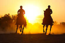Ant´s Africa Safaris, Reiter mit Pferden im Sonnenuntergang