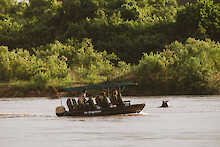 Rufiji Ausflugsboot mit Nilpferd im Fluss