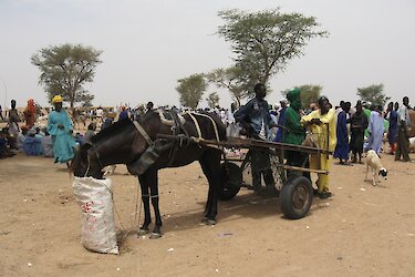 Nomaden in der Wüste in Senegal