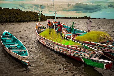Fischer in ihren Kanus in Sine Saloum Deltaregion