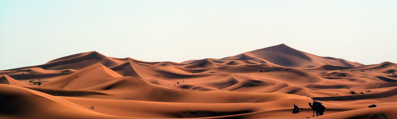 Dünen der Sahara