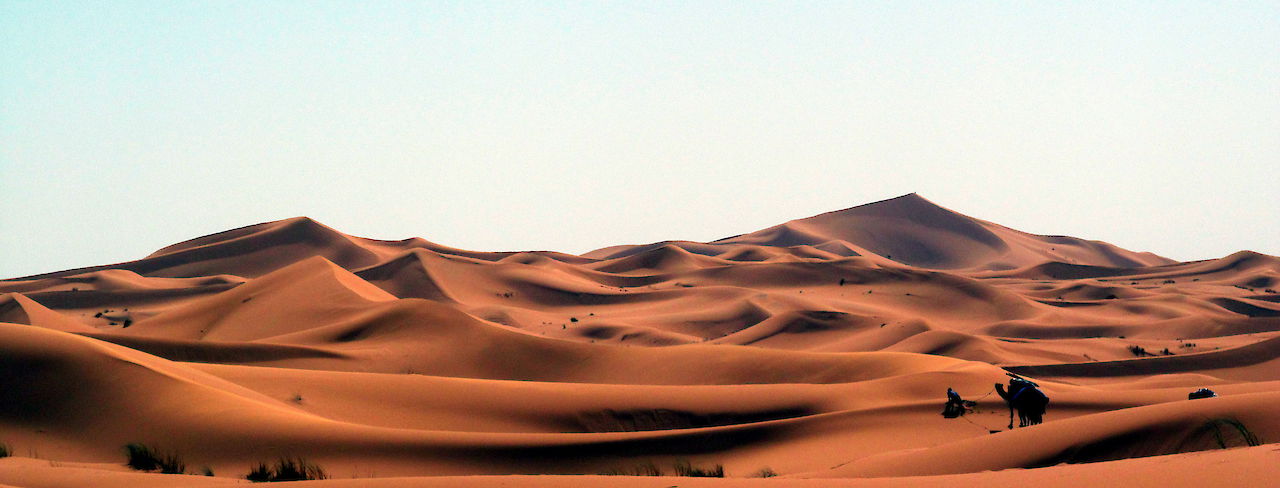 Dünen der Sahara