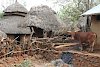 Dorf der Konso