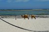 Am Diani Beach