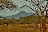 Lebombo-Berge