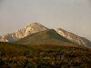 In den Outeniqua-Bergen