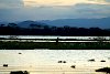 Storch am Lake Naivasha