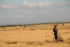 Fahrt durch die Steppe