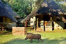 Bungalow der Chobe Safari Lodge