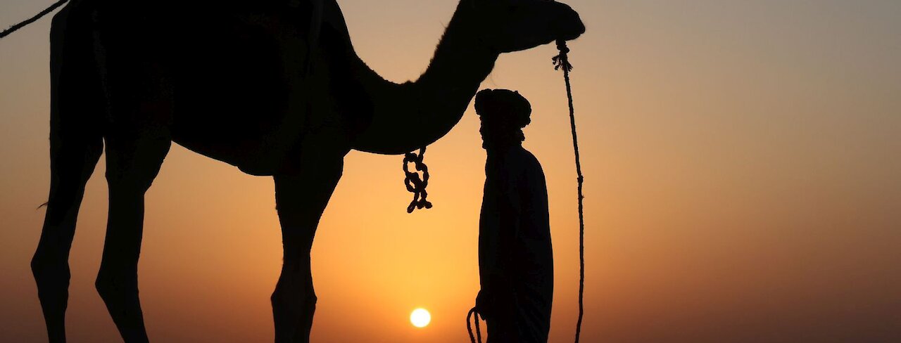 Mann mit Kamel im Sonnenuntergang. Marokko