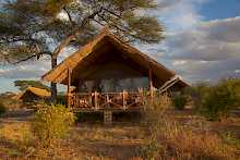 Zelt in der Tarangire Simba Lodge
