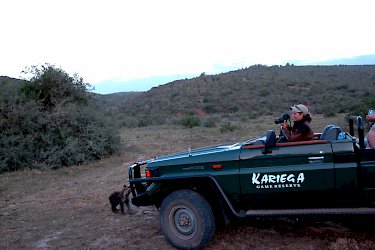 Auf Safari im Kariega-Game-Reserve