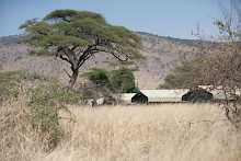 Serengeti Halisi Landschaft mit Blick auf Camp