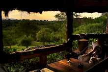 Veranda mit Ausblick in den Urwald in Semliki Safari Lodge
