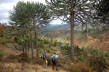Wanderung in den Usambarabergen