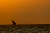 Fischerboot im Indischen Ozean