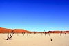 Blick auf die Dünen der Sossuvlei und abgestorbene Akazien