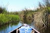 Mokorofahrt im Okavangodelta