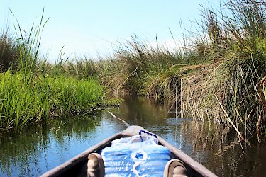 Mokorofahrt im Okavangodelta