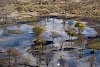 Okavangodelta aus der Vogelperspektive