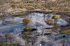 Okavangodelta aus der Vogelperspektive