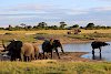 Elefanten am Wasserloch im Hwange-Nationalpark