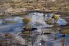 Okavangodelta aus der Vogelperspektive