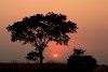 Sonnenuntergang in Sambia