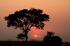 Sonnenuntergang in Sambia
