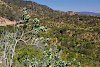 Landschaft in Sambia