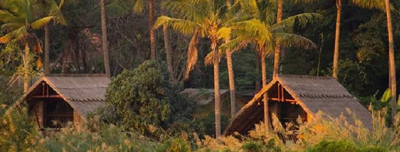 Blick auf die Simbamwenni Lodge Unterkünfte unter Plamen