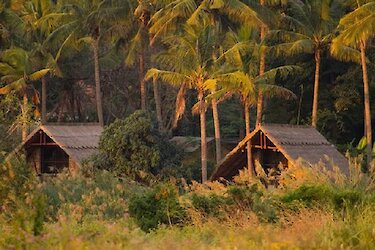 Blick auf die Simbamwenni Lodge Unterkünfte unter Plamen