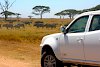 Tata Xenon vor einer Büffelherde