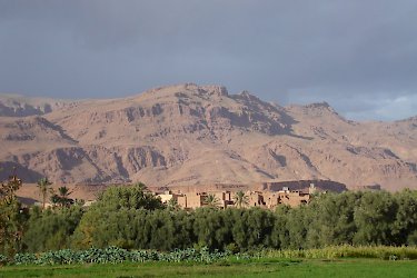 Blick auf die Oasenstadt Tineghir