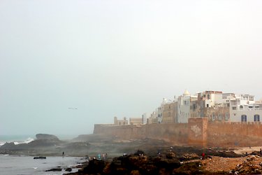 An der Küste von Essaouira