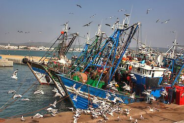 Schiffe am Hafen von Essaouira