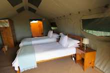 Woodbury Tented Beds