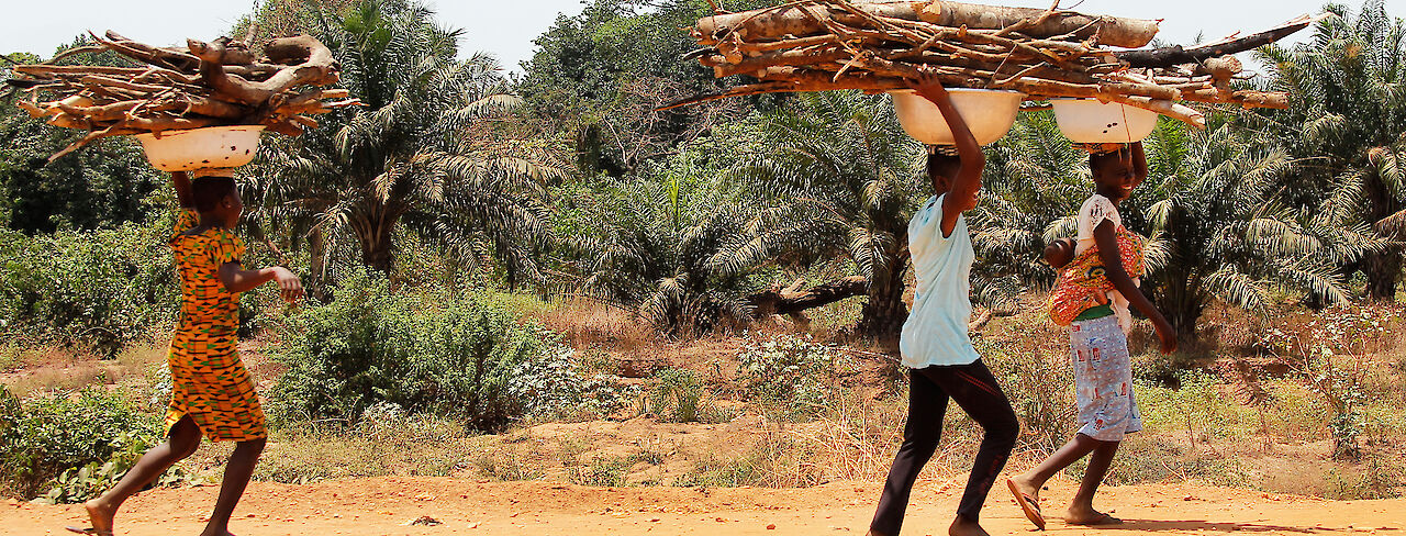 Menschen tragen Brennholz, Ghana