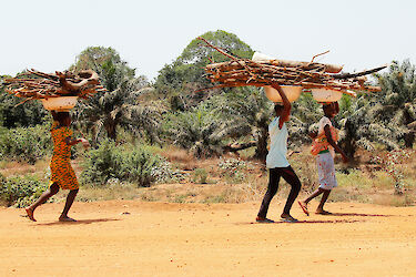 Menschen tragen Brennholz, Ghana
