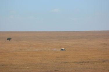 Die endlosen Weiten der Serengeti