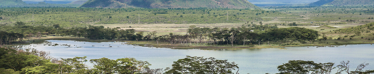Blick auf den Elementaitasee in Kenia
