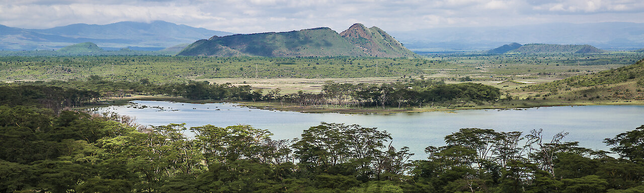 Elementaitasee
